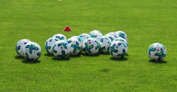 乐鱼vip-中国足球职业联赛市场分析，中国足球职业联赛正式开始